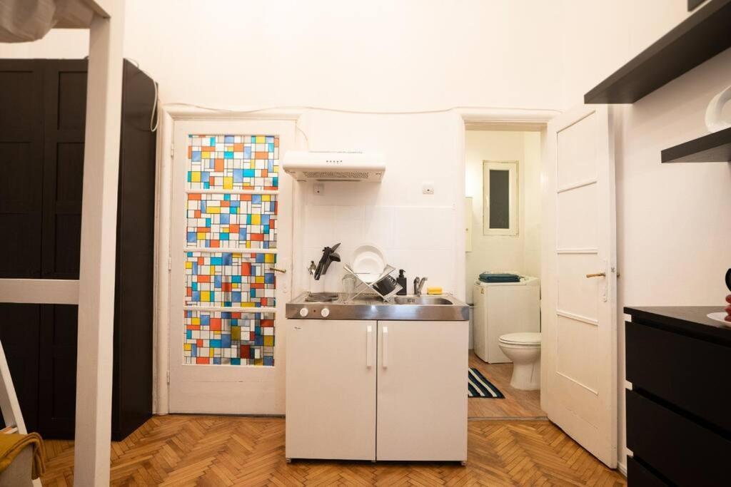 Cozy Studio Near Cismigiu Park Apartment Bukares Bagian luar foto