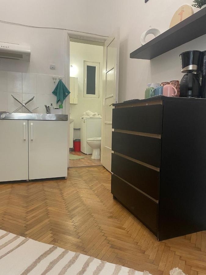 Cozy Studio Near Cismigiu Park Apartment Bukares Bagian luar foto