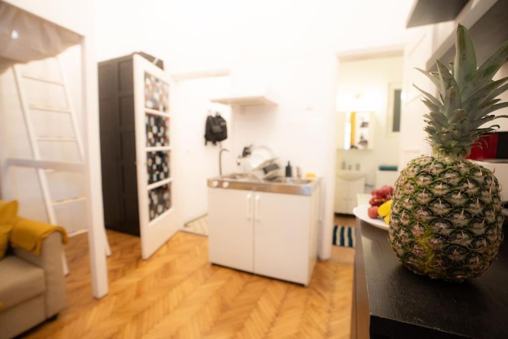 Cozy Studio Near Cismigiu Park Apartment Bukares Bagian luar foto